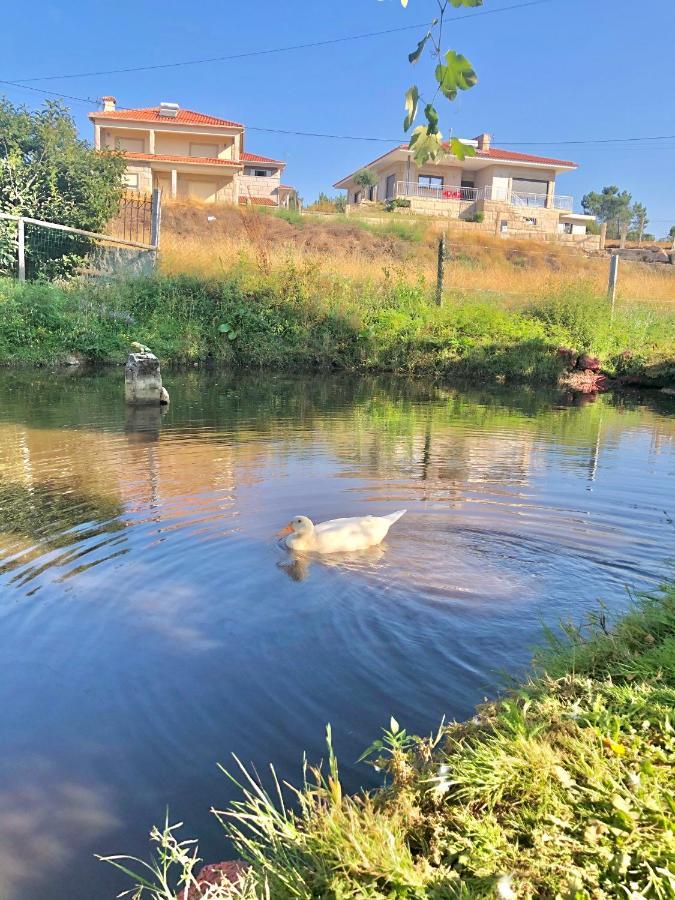 Villa Casa Da Quinta Da Prelada Simao Partie Basse Celorico De Basto Exterior foto