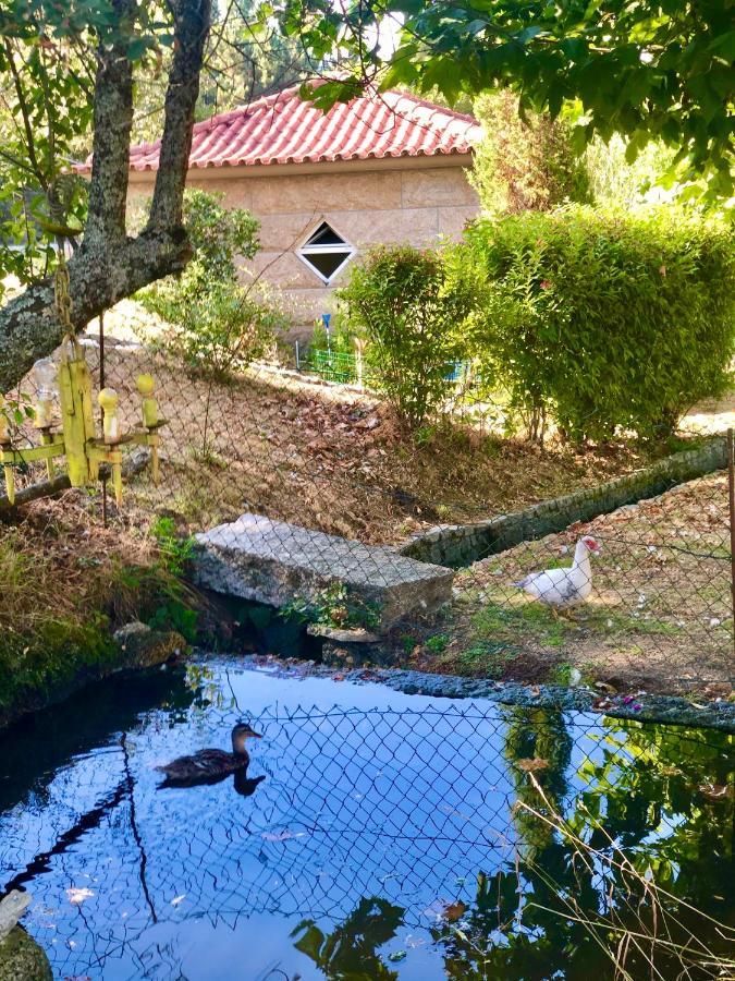 Villa Casa Da Quinta Da Prelada Simao Partie Basse Celorico De Basto Exterior foto